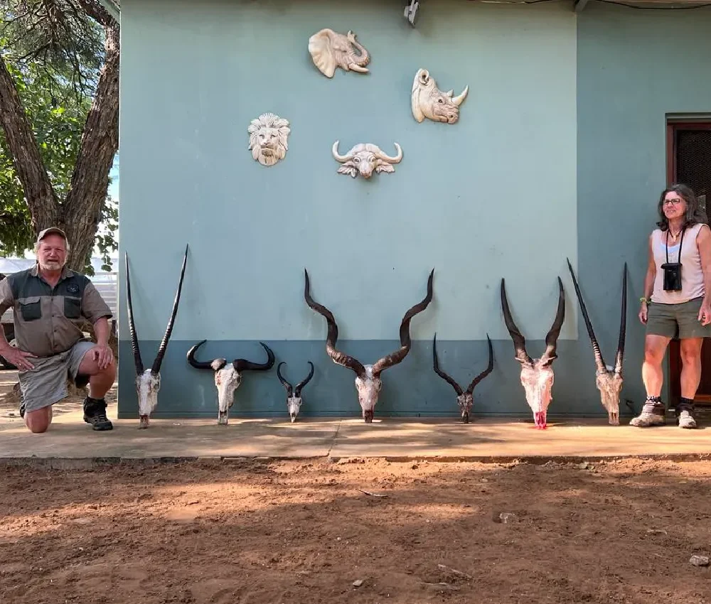 hunting-duiker-safari